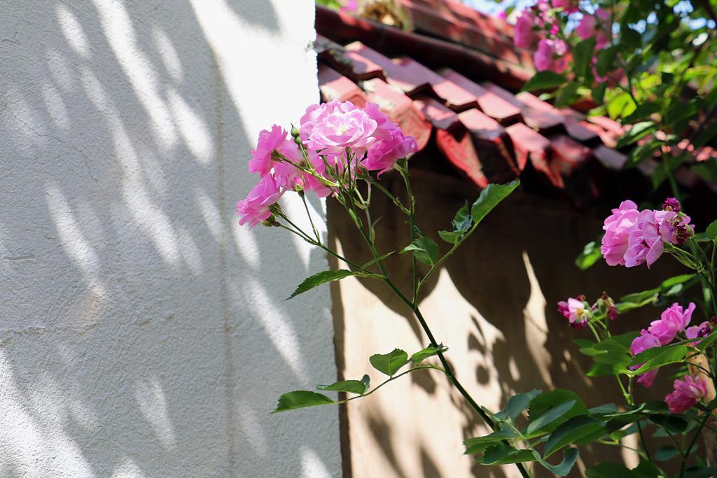 The Hump-Mulan Guest House Kunming Kültér fotó